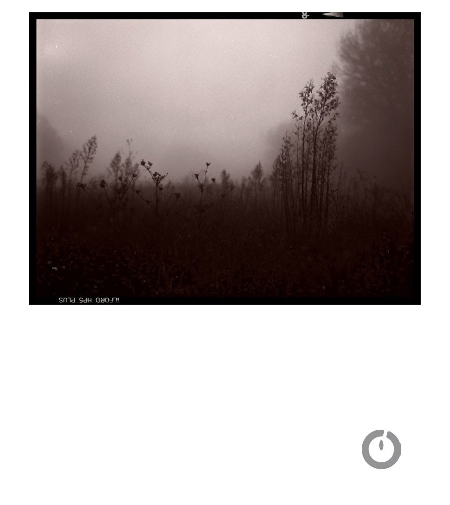 "Herbes folles" Photographie Anne Barroil "Herbes folles" Photographie Anne Barroil